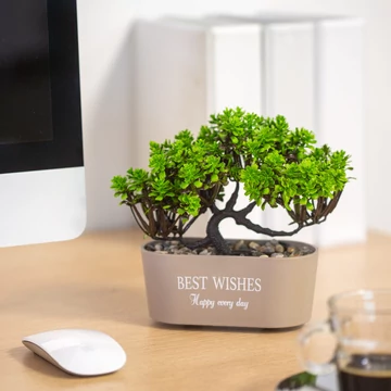 Műnövény dekoráció - bonsai - 19 x 13 cm - 4 féle 11825 Műnövény dekoráció - bonsai - 19 x 13 cm - 4 féle 11825